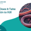How Long Does It Take for Ivermectin to Kill Parasites_